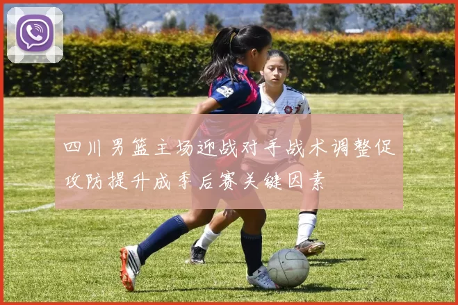 四川男篮主场迎战对手战术调整促攻防提升成季后赛关键因素